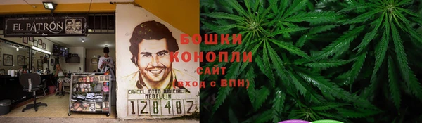 молекула духа Бронницы