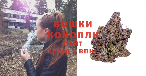 молекула духа Богородск