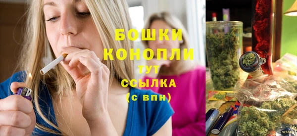 молекула духа Богородск