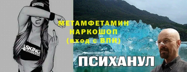 молекула духа Богородск