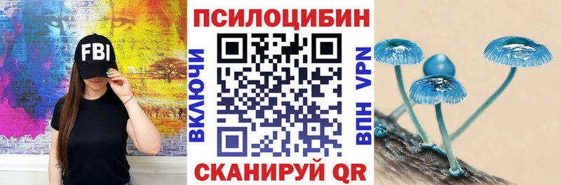 Галлюциногенные грибы Psilocybe  закладка  Кувандык 