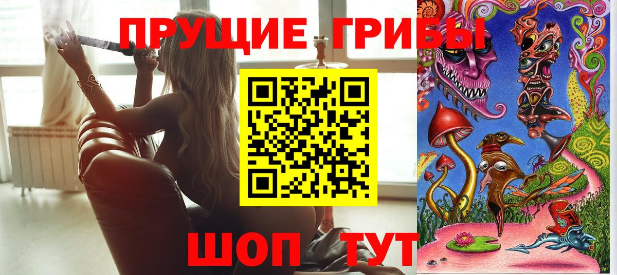Псилоцибиновые грибы Psilocybine cubensis  Вход с VPN  Кувандык 