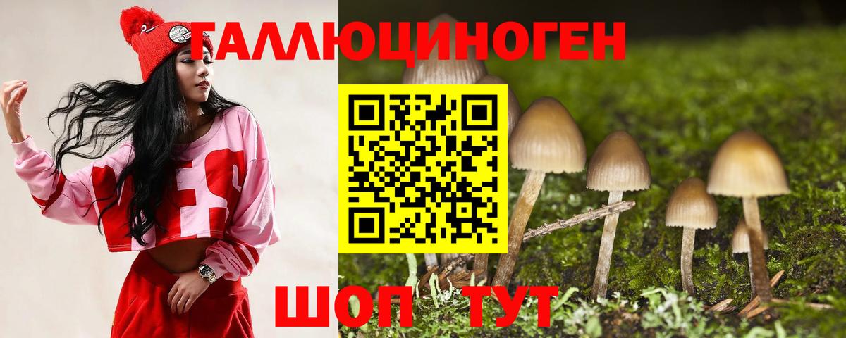 Псилоцибиновые грибы Cubensis Кувандык